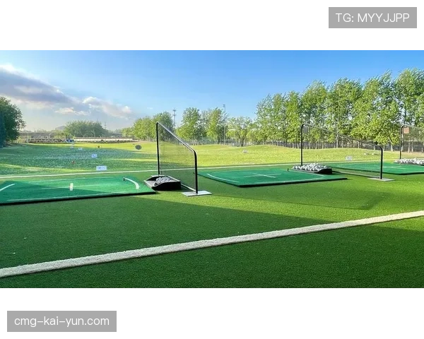 球场视听系统升级对观众粘性的影响评估,球场视野怎么锻炼